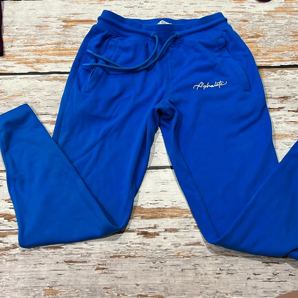 Alphalete joggers blouse size XS